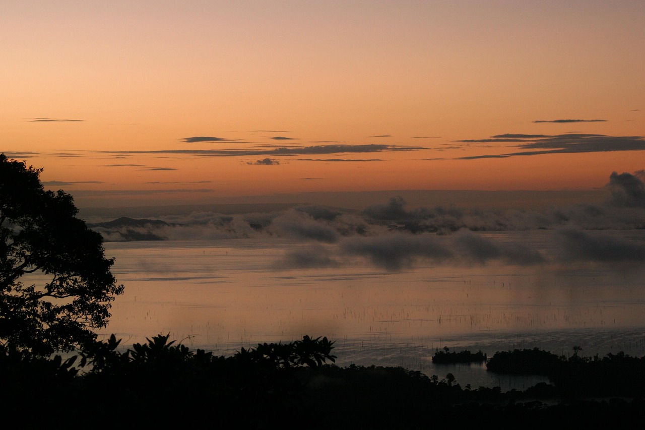 sunset, jungle, fog, suriname, suriname, suriname, suriname, suriname, suriname