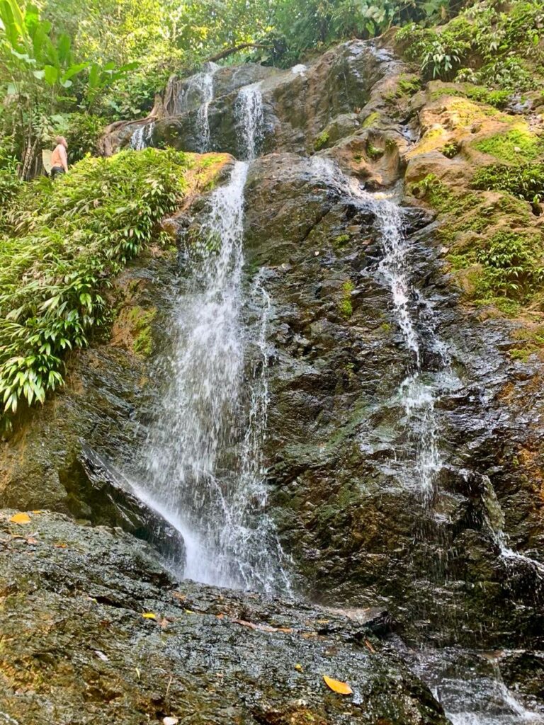 Irene waterval Brownsberg (laagwater)