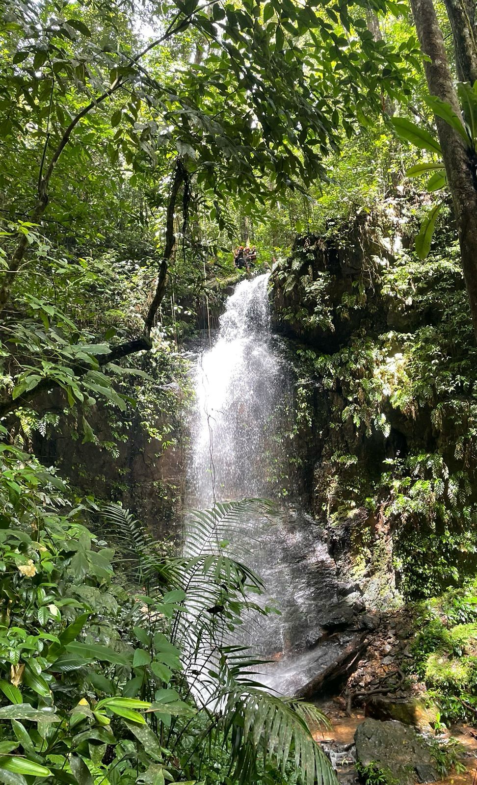 Leo waterval Brownsberg