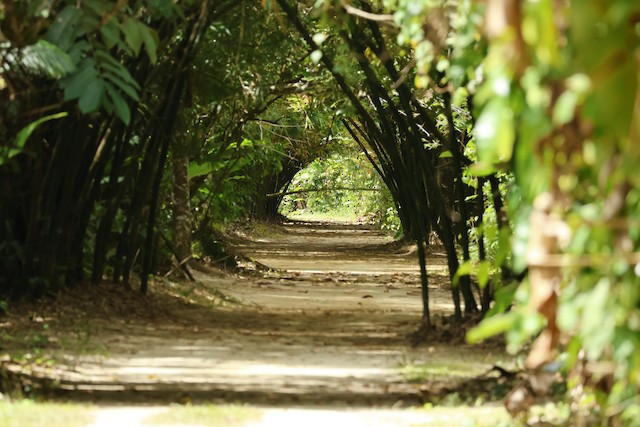 Natuurpark peperpot